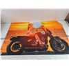 Image 3 : (3) Motorcycle Flags