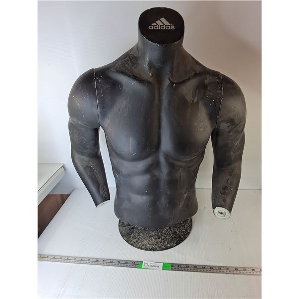 *Adidas Male Torso Mannequin- 30" Tall, Cannot Ship