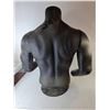 Image 3 : *Adidas Male Torso Mannequin- 30" Tall, Cannot Ship