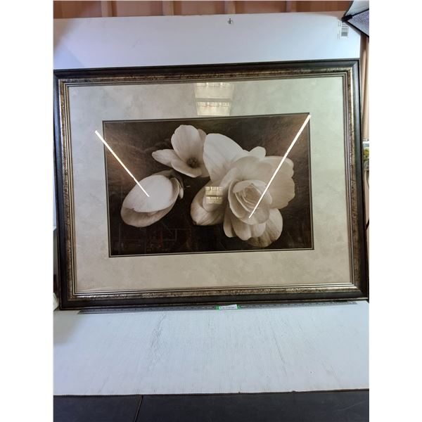 Framed Magnolia Floral Picture (44.5x34.5")