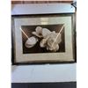 Image 1 : Framed Magnolia Floral Picture (44.5x34.5")