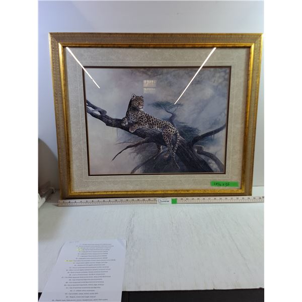 Large Gold Framed Leopard Picture (35x28.5")