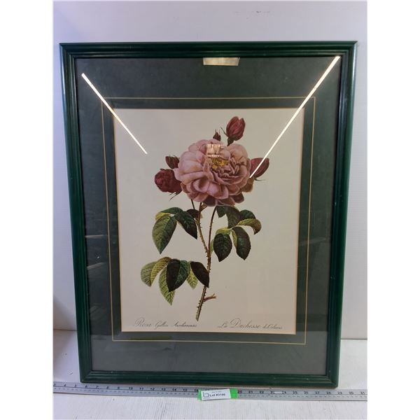 Large Green Frame Roses Picture (44x30")