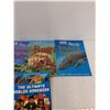 Image 3 : (5) Books: 100 Facts Big Cats, Prehistoric Life, Bugs, Whales & Dolphins, Misc