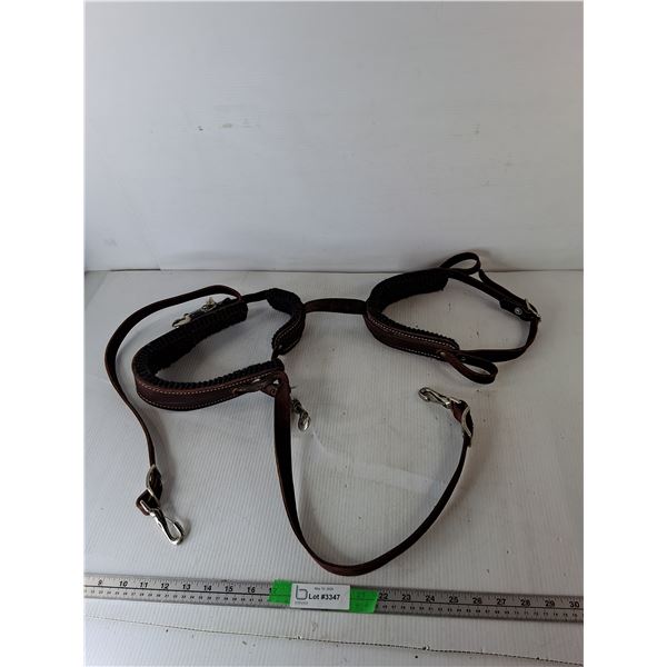 Leather Dog Harness