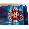 Image 3 : (3) Vehicle Window Shades - Ed Hardy, Montreal Canadiens,  Normal