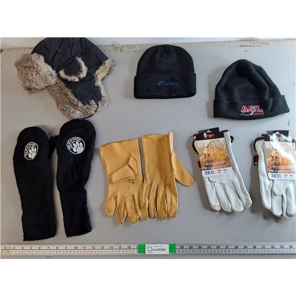 Winter Clothing & Work Gloves-L - Toques, Mittens, Misc.