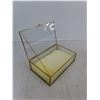 Image 3 : (3) Glass Display Cases With Foam Padding 9 x 5.5 x 2.5"