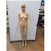 Image 1 : Female Mannequin (5 Pieces + Stand) - Stands 68" Tall - Pickup Only