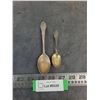 Image 1 : (2) Vintage Souvenir Spoons (Small is Sterling Silver 10.56 grams)
