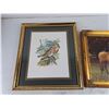 Image 2 : Framed Bird Picture 15" x 13", Framed Dressage Picture 14" x 12"