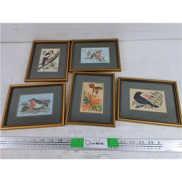 (5) Genning Loom Woven Framed Bird Pictures 7" x 6"