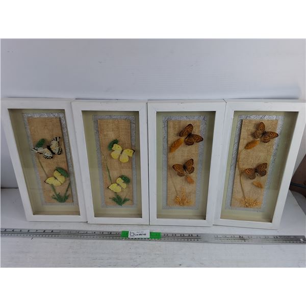 (4) Framed Real Butterfly Display Pictures 16" x 8"