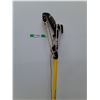 Image 2 : *Ames 10' Pole Tree Trimmer - PICKUP ONLY