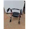 Image 3 : *Drive Walker - PICKUP ONLY