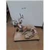 Image 1 : *(3) Garden Deer Decorations, PICKUP ONLY, DOLLY IS NOT INCLUDED