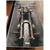 Image 2 : (3) Assorted Triumph Motorcycle Banners
