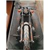 Image 5 : (3) Assorted Triumph Motorcycle Banners