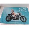 Image 4 : (3) Motorcycle Flags/Banners