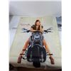 Image 3 : (3) Motorcycle Flags/Banners