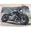 Image 3 : (3) Motorcycle Flags/Banners