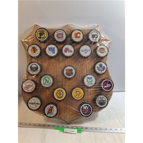Hockey Puck Collection Wall Hanging