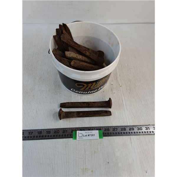 Bulk Railroad Spikes