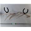 Image 1 : (2) Antler Style Candleholders Up to 18"- Cannot Ship