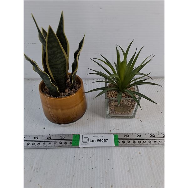 (1) Snake Plant and (1) Succulent-Artificial