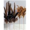 Image 2 : Craft Materials, Feathers, Dream Catchers