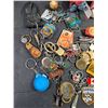 Image 2 : Misc Keychains