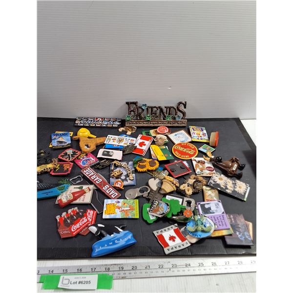 Assorted Fridge Magnets
