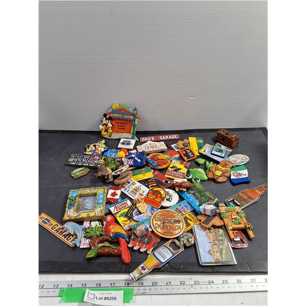 Assorted Fridge Magnets