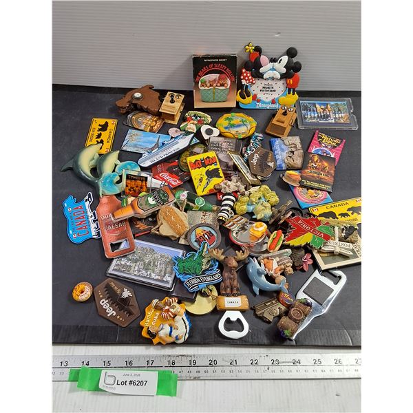 Assorted Fridge Magnets