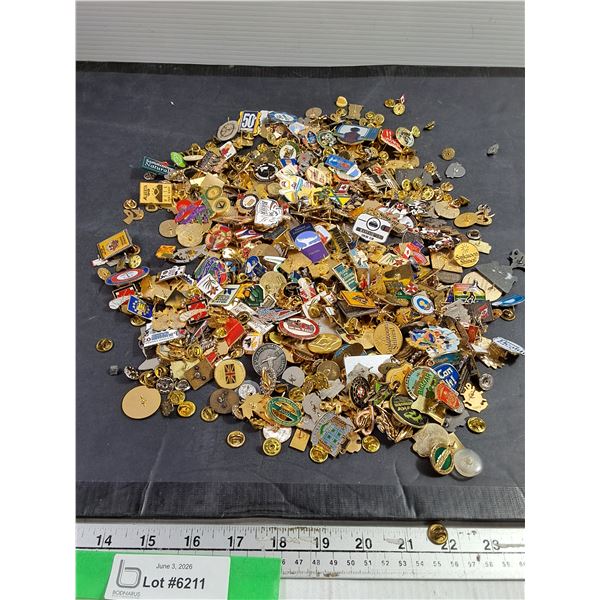 Assorted Pins