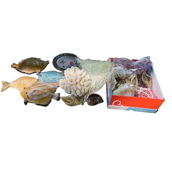 Shelf of Assorted Seashell and Coral Decorations