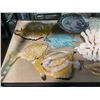 Image 2 : Shelf of Assorted Seashell and Coral Decorations