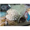 Image 3 : Shelf of Assorted Seashell and Coral Decorations