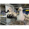 Image 2 : 5 Ceramic Goose & Duck Figurines