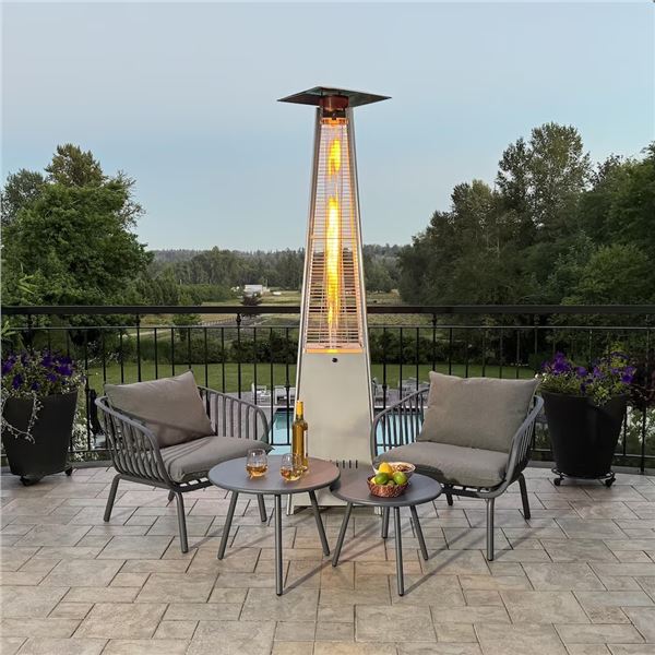 Paramount Flame Patio Heater 42,000 BTU, Grey and Silver RV: $300