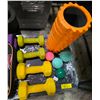 Image 3 : Group of Assorted Fitness Equipment Items - Dartboard, Dumbbells, Foam Roller, and More