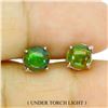 Image 1 : 6 MM ROUND CABOCHON BLACK OPAL EARRINGS 14K WHITE GOLD OVER 925 STERLING SILVER - APPRAISED REPLACEM