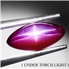 Image 1 : RARE 1.99 CT. MARQUISE CABOCHON STAR RUBY - APPRAISED REPLACEMENT VALUE CAD 895