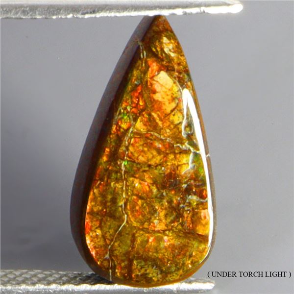 RARE AMAZING HOT RAINBOW LUSTER 8.25 CT. AMMOLITE 15X8 MM - APPRAISED REPLACEMENT VALUE CAD 660