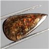 Image 2 : RARE AMAZING HOT RAINBOW LUSTER 8.25 CT. AMMOLITE 15X8 MM - APPRAISED REPLACEMENT VALUE CAD 660