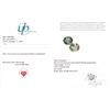 Image 3 : 11.22 ct Certified Aquamarine gemstone Pair ($7,800 Appraisal)