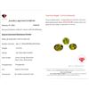 Image 3 : 13.67 ct Certified Himalayan Peridot gemstone Parcel ($10,252 Appraisal)