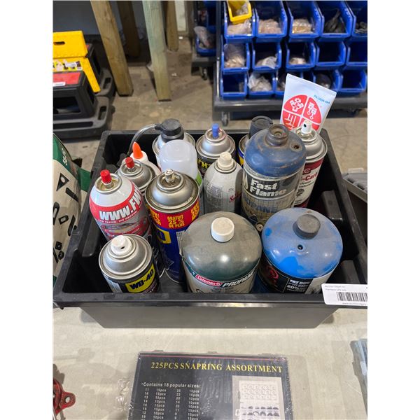 Lot of AssortedÂ Aerosol Cans and Bottled Products Including Coleman Propane and WD-40