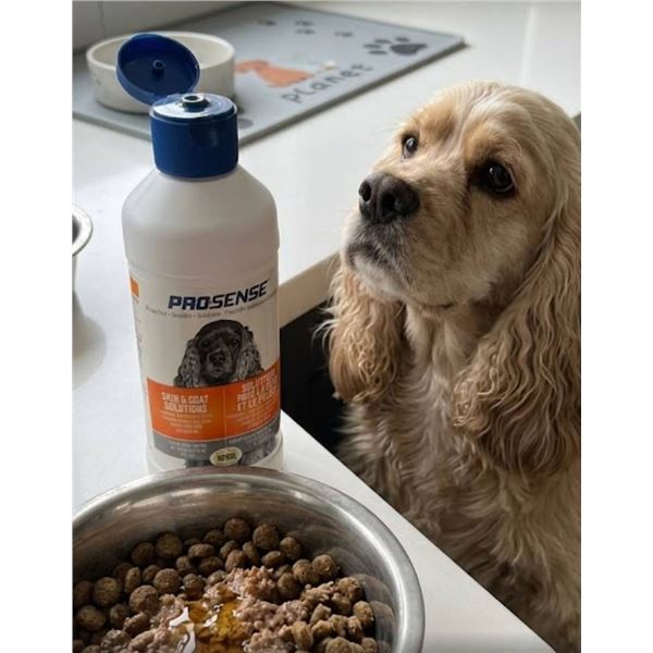 ProSense Skin & Coat Solutions for Dogs, 8 fl oz (Set of 2)