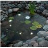 Image 1 : Smartpond Mini LED Lights with Dusk-to-Dawn Sensor